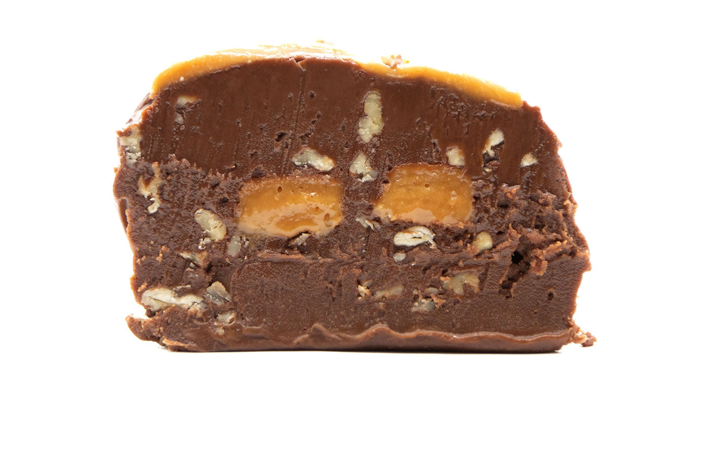 Turtle Fudge